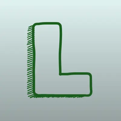 LIDER-seliger